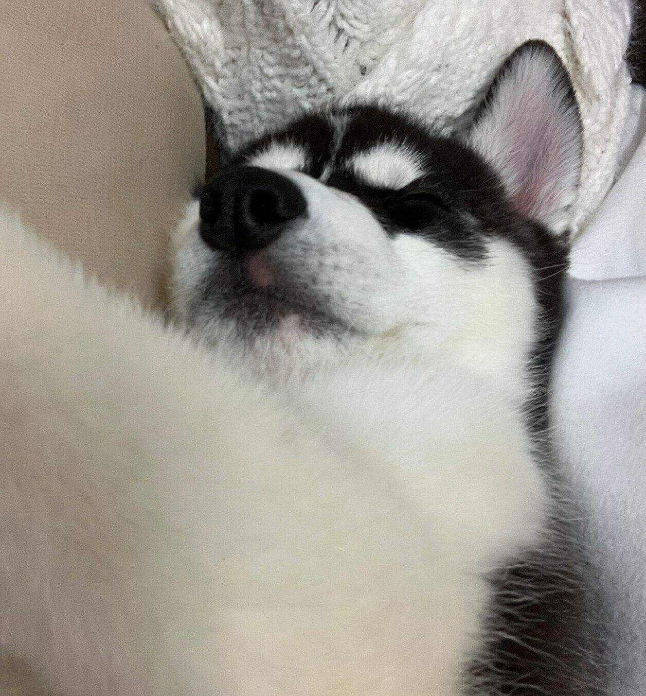 生後2カ月のころの銀慈くん