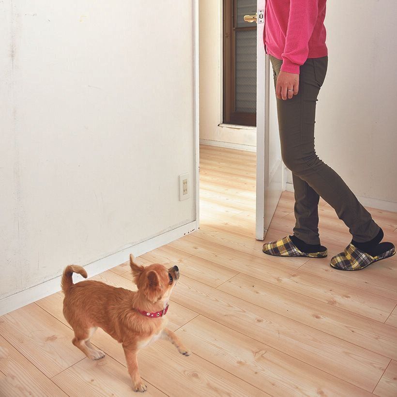 撮影／佐藤正之