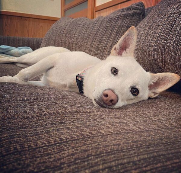 くつろぐチルちゃん