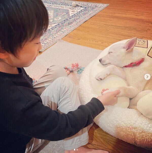 チルちゃんと息子さん