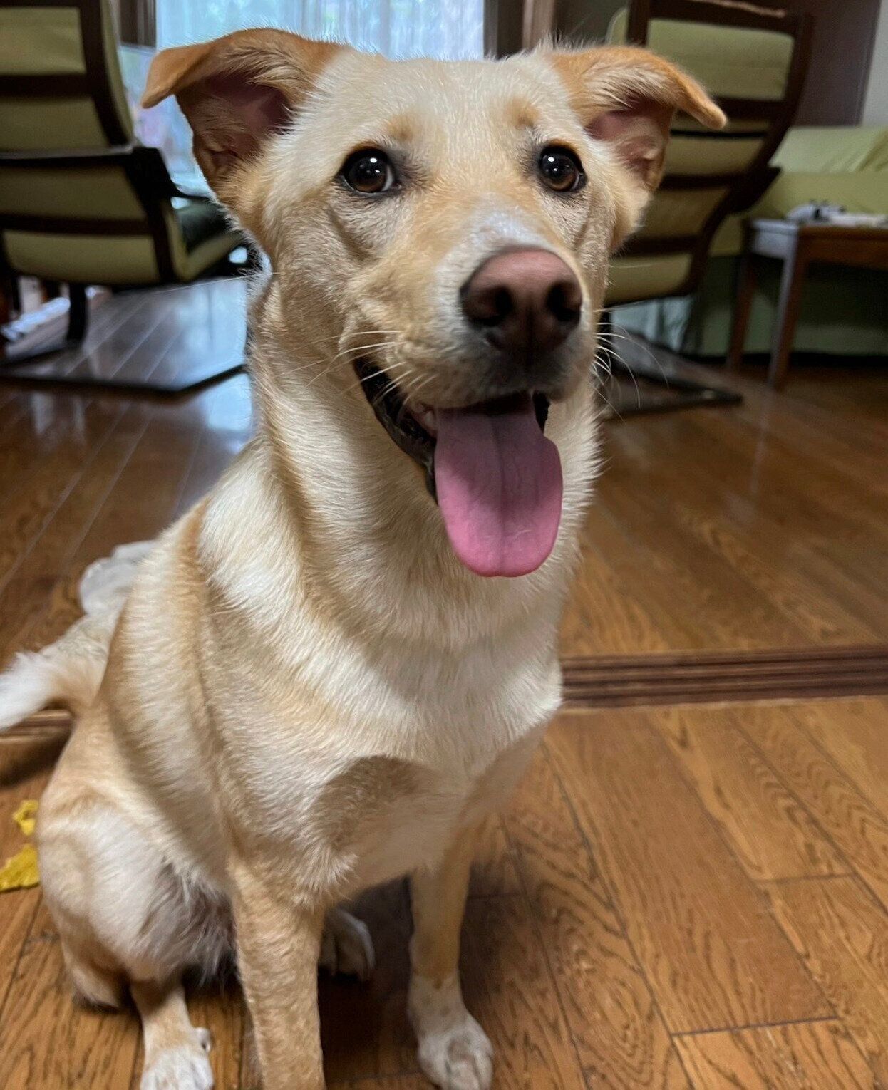 笑顔のなつ子ちゃん