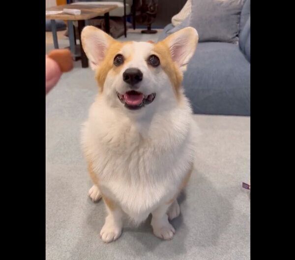 笑顔が可愛いつむぎちゃん