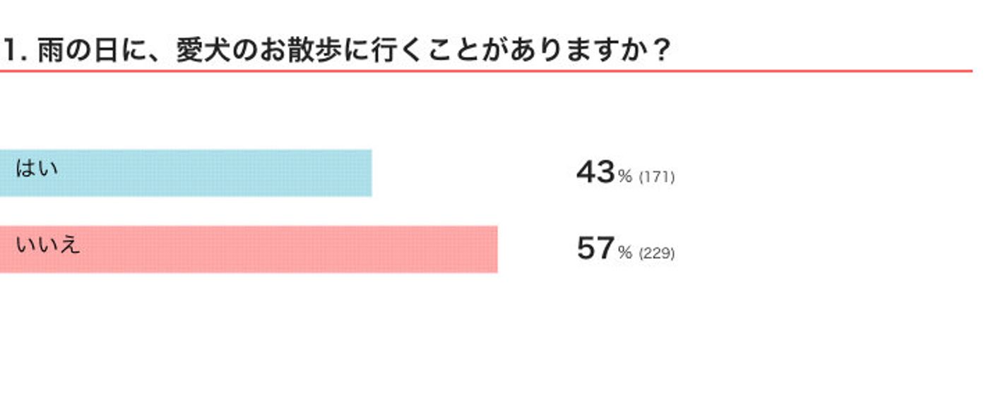 雨の日の愛犬の散歩での 困りごと は 悪天候時の散歩の注意点を解説 いぬのきもちweb Magazine 雨の日の愛犬の散歩での 困りごと は 悪天候時の散歩の注意点を解説 いぬのきもちweb Magazine