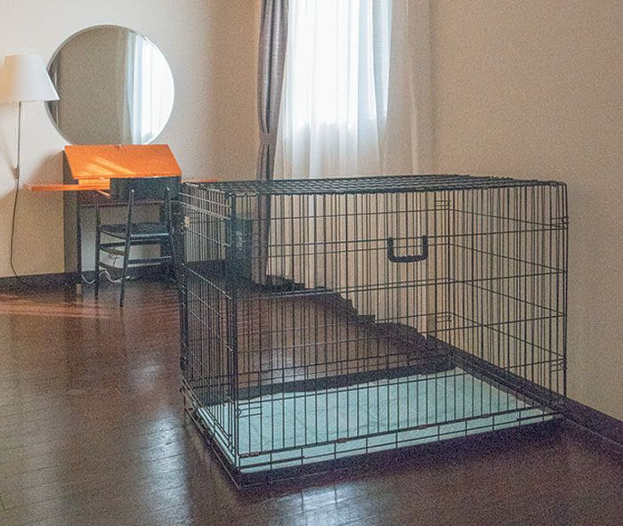 写真／西山嘉治