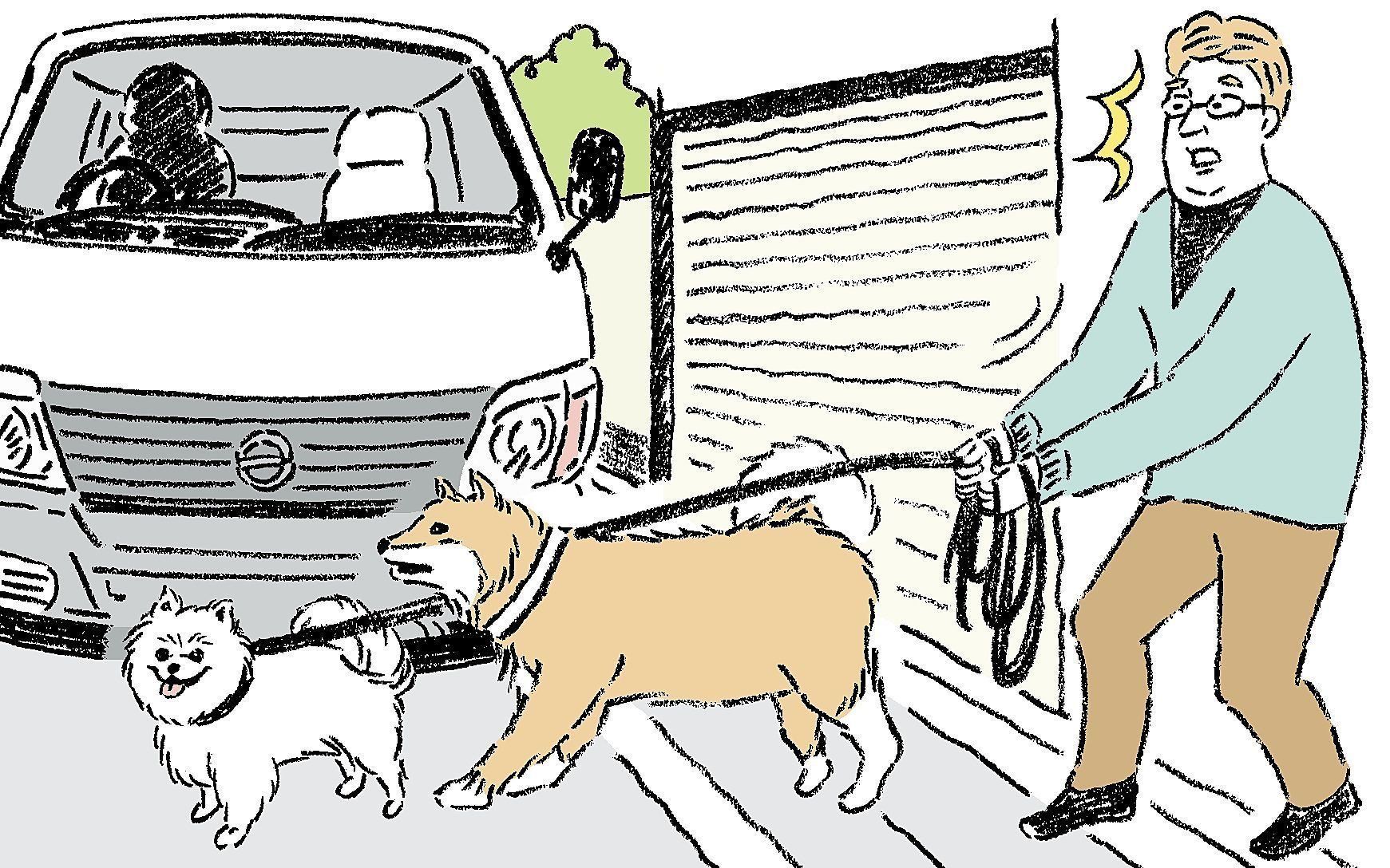 愛犬のうち1頭がひかれて亡くなってしまった（イラスト／別府麻衣）