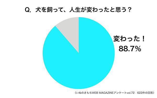 犬を飼って人生が変わったか調査