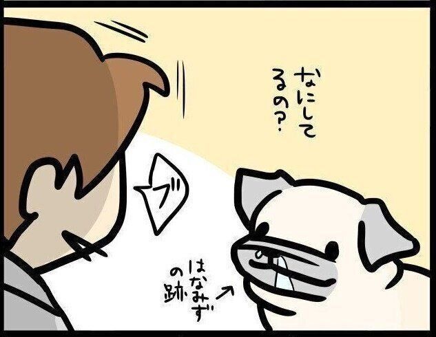 【連載】パグ犬めー vol.83