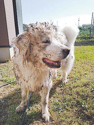 写真提供／Mさん