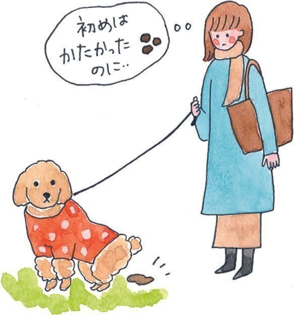 イラスト／今井夏子