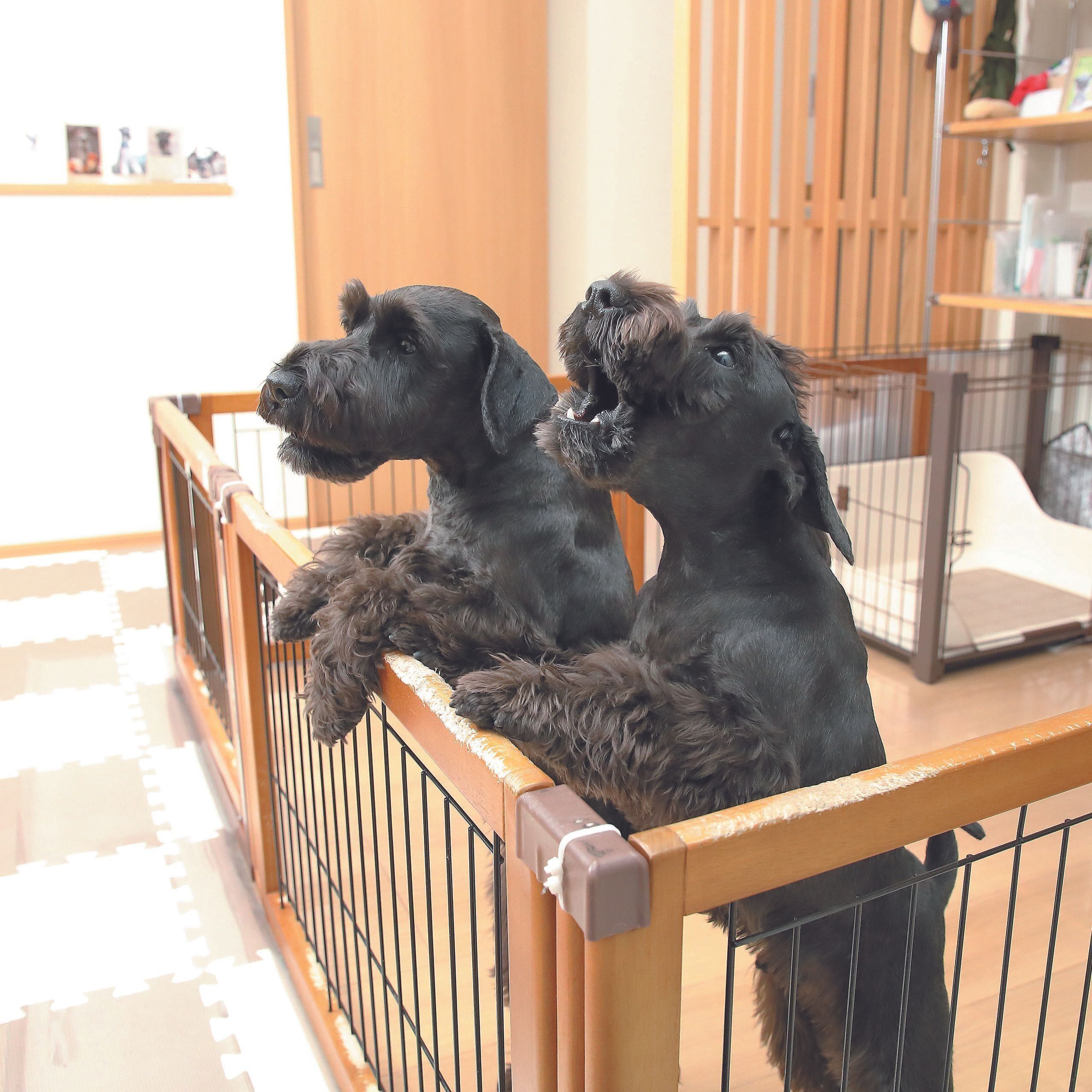 撮影／尾﨑たまき