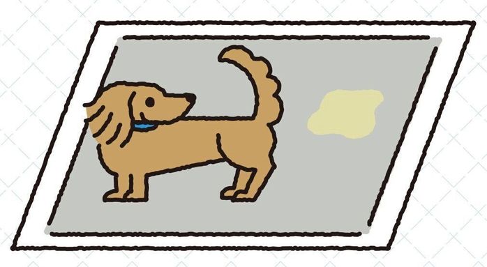 イラスト/亀山鶴子