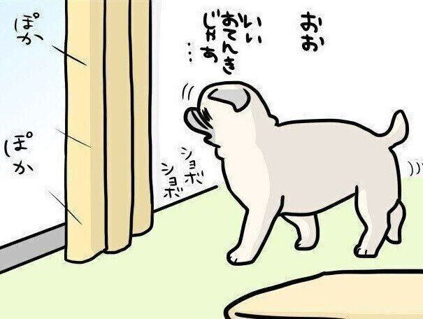 【連載】パグ犬・めー vol.140