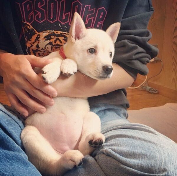 トライアル中のチルちゃん