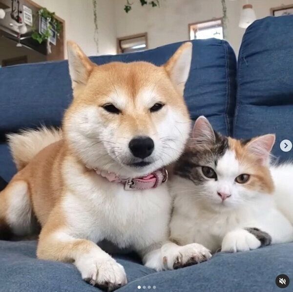 仲良しなサラちゃん、ルナちゃん