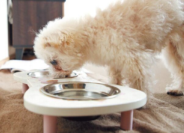 撮影／尾﨑たまき