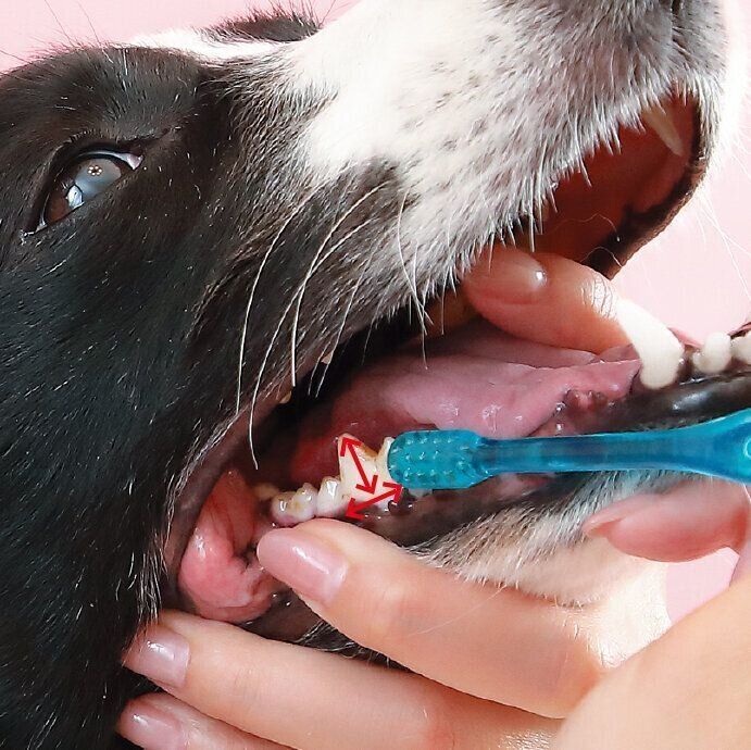 指を入れて口を開けて