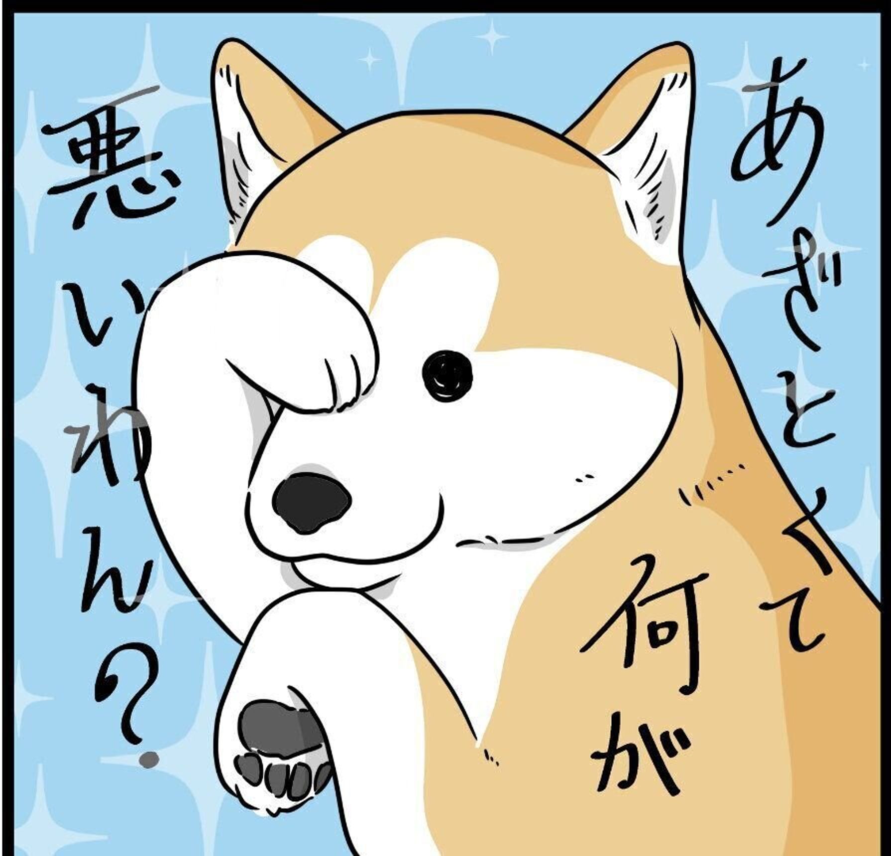 あざと可愛い柴犬タロさんが 泣くフリ 娘も対抗して泣くフリをした結末は 連載 モフモフ柴とプニプニ娘 第111話 いぬのきもちweb Magazine あざと可愛い柴犬タロさんが 泣くフリ 娘も対抗して泣くフリをした結末は 連載 モフモフ柴とプニプニ娘 第111話 いぬのきもちweb Magazine