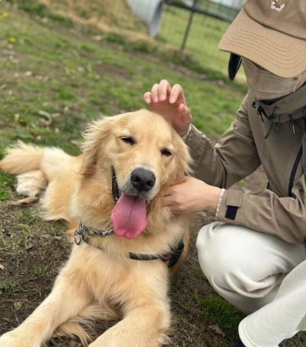 ニッコリ笑うアルくん