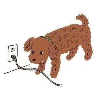 イラスト／大塚砂織