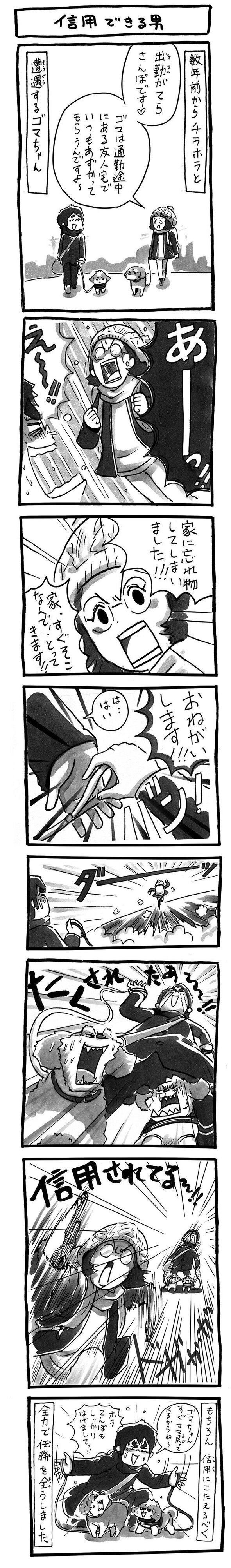 連載「シーズー犬のてんぽ」