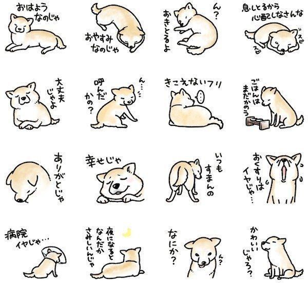 「柴犬スタンプ17〜老しば〜」