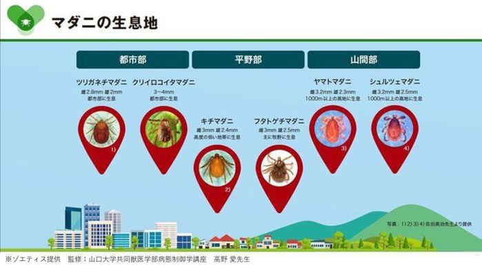 マダニの生息地