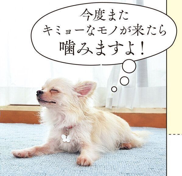 撮影／佐藤正之