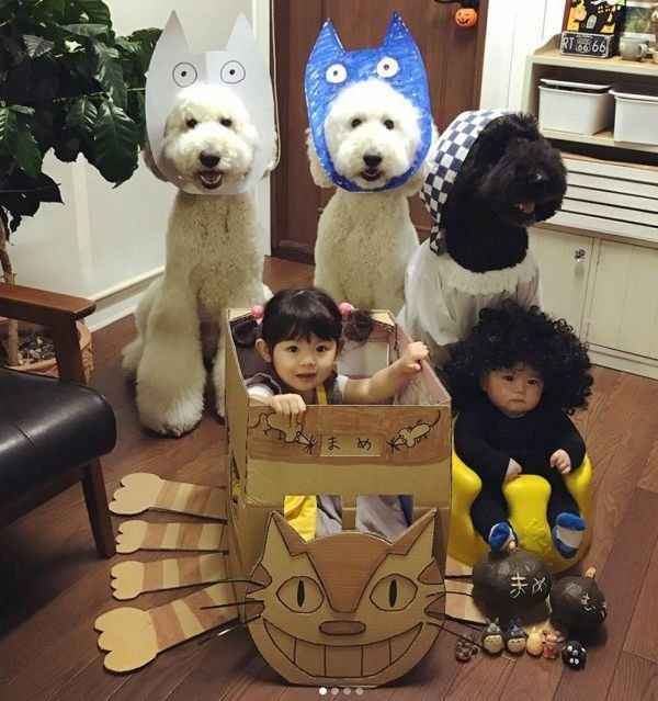 スタンダード・プードルと女の子・まめちゃん