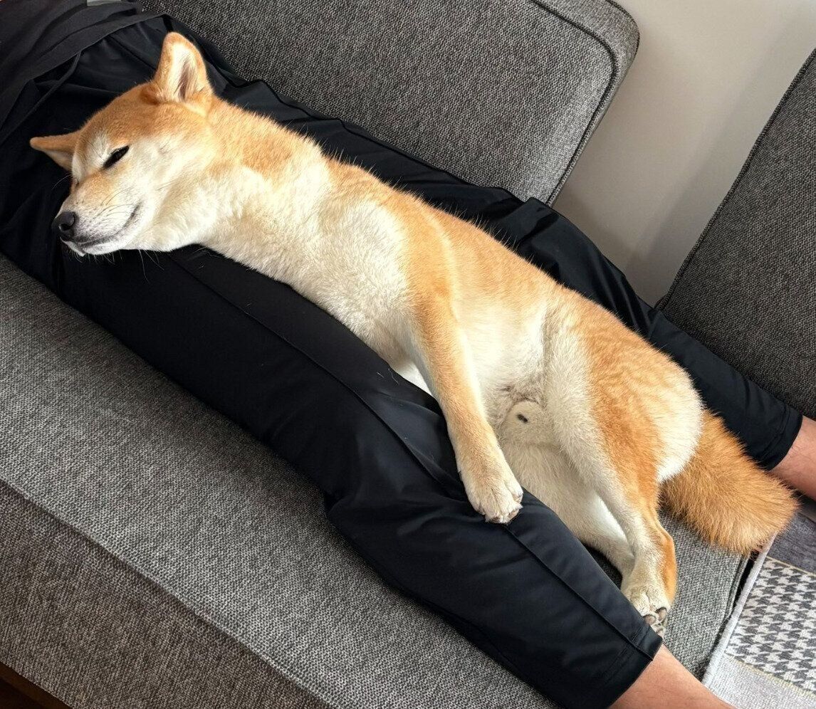 まったりする会長さん