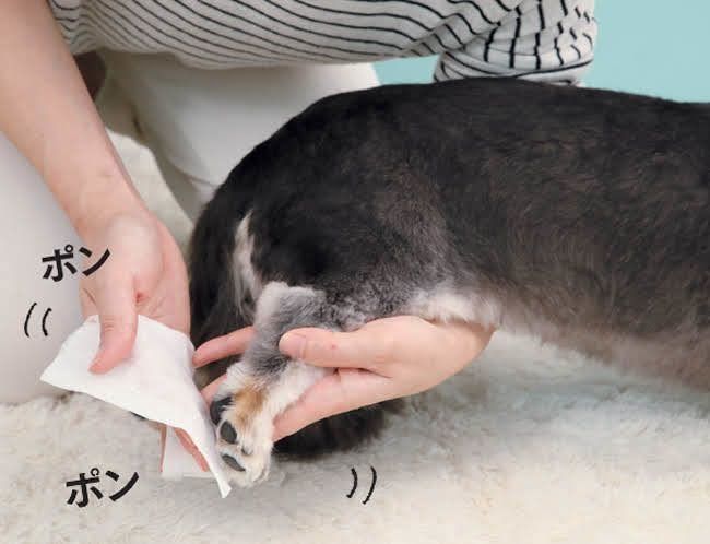 立たせて足を拭く場合