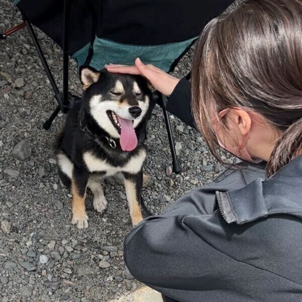 嬉しそうな、すみすみちゃん