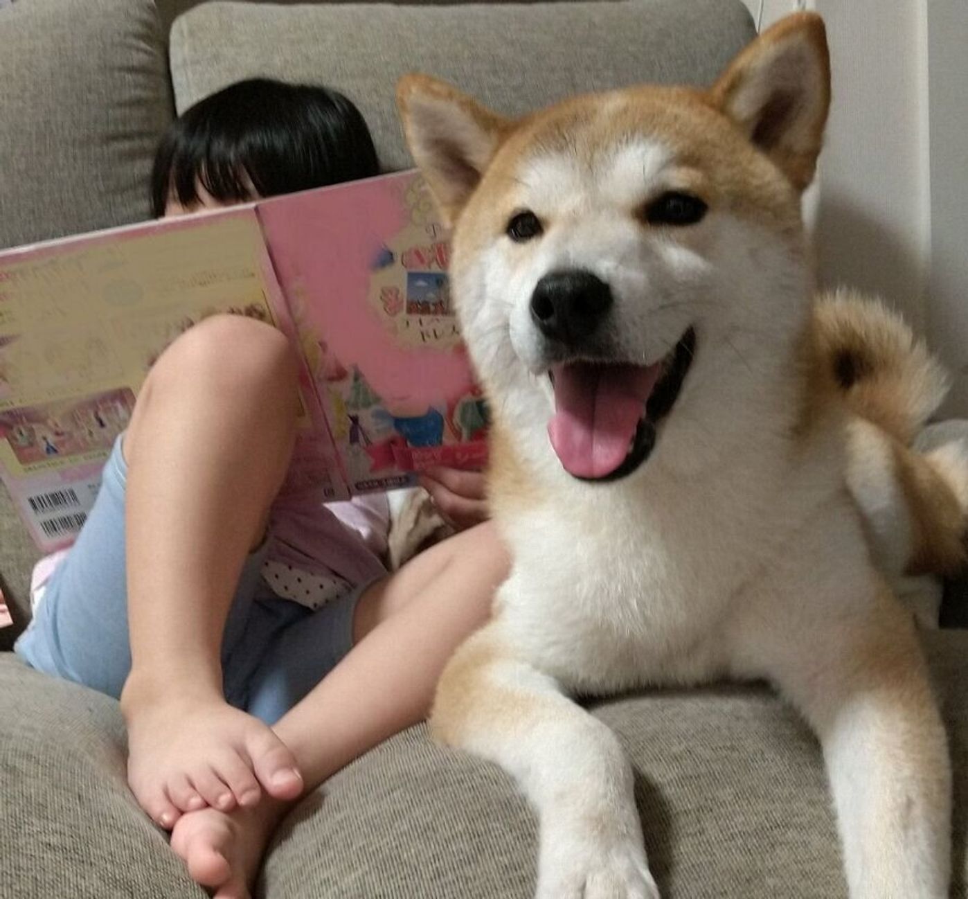 柴犬タロさんの白目が見える時はどんな時 連載 モフモフ柴とプニプニ娘 第130話 いぬのきもちweb Magazine 柴犬タロさんの白目が見える時はどんな時 連載 モフモフ柴とプニプニ娘 第130話 いぬのきもちweb Magazine