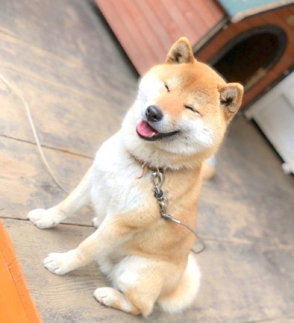 笑顔のそらくん