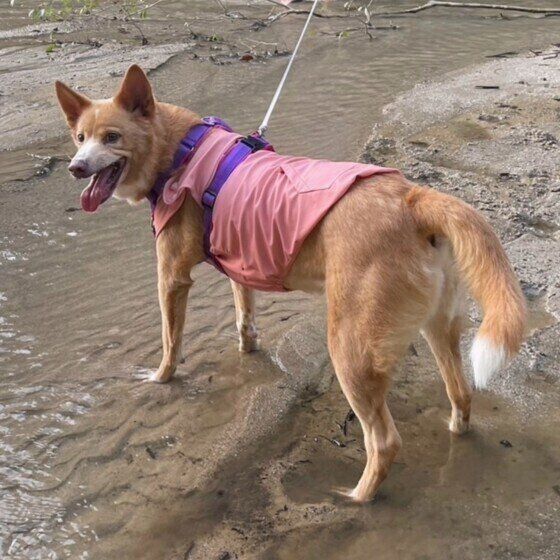 水遊び中のはるちゃん