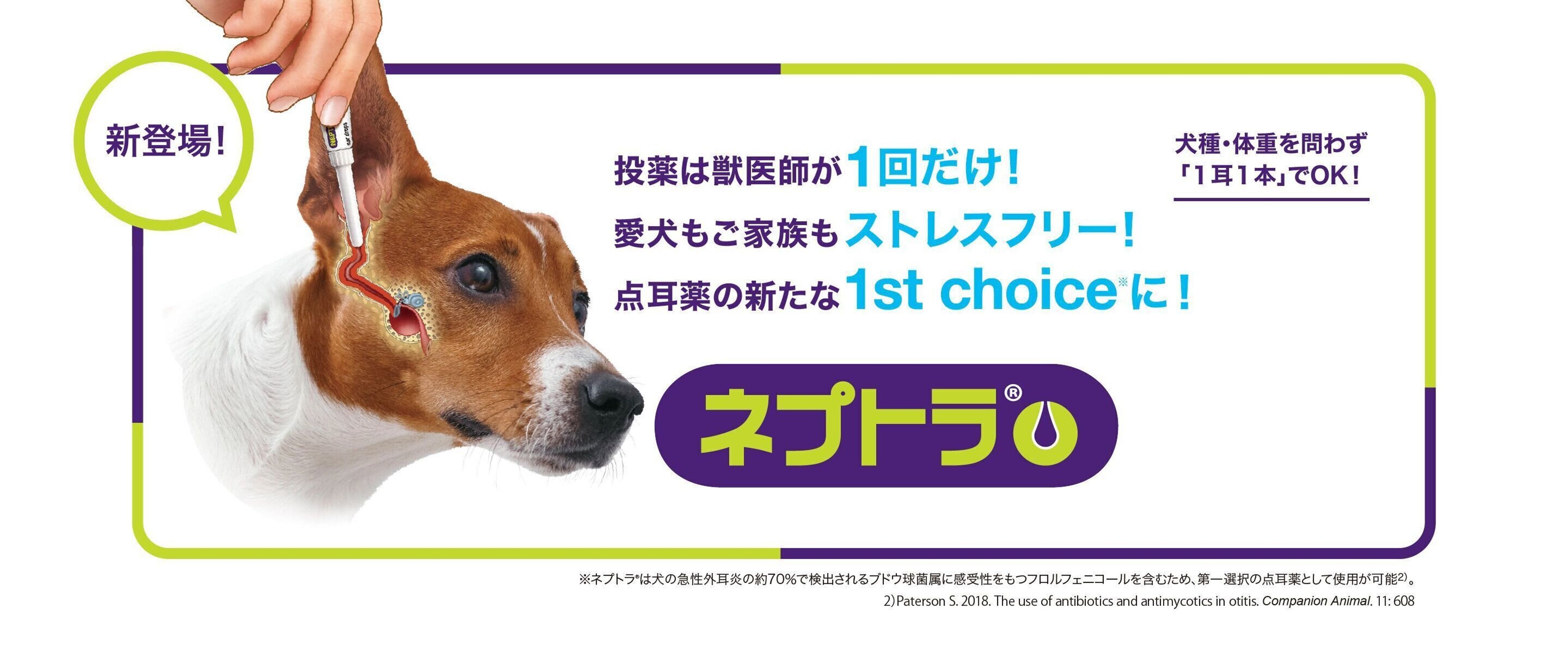 Pr 投稿キャンペーン 愛犬の 耳の写真 を投稿してプレゼントをもらおう いぬのきもちweb Magazine Pr 投稿キャンペーン 愛犬の 耳の写真 を投稿してプレゼントをもらおう いぬのきもちweb Magazine