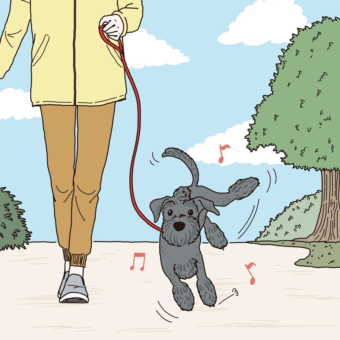 東京都 Oreoくん（オス・１才／6.2kg／ミニチュア・シュナウザー／やんちゃで甘えん坊）