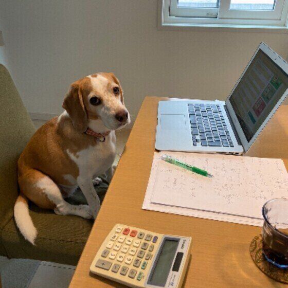 ビーグルのロアちゃん