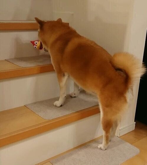 その場で足踏みすることになる茶々丸ちゃん