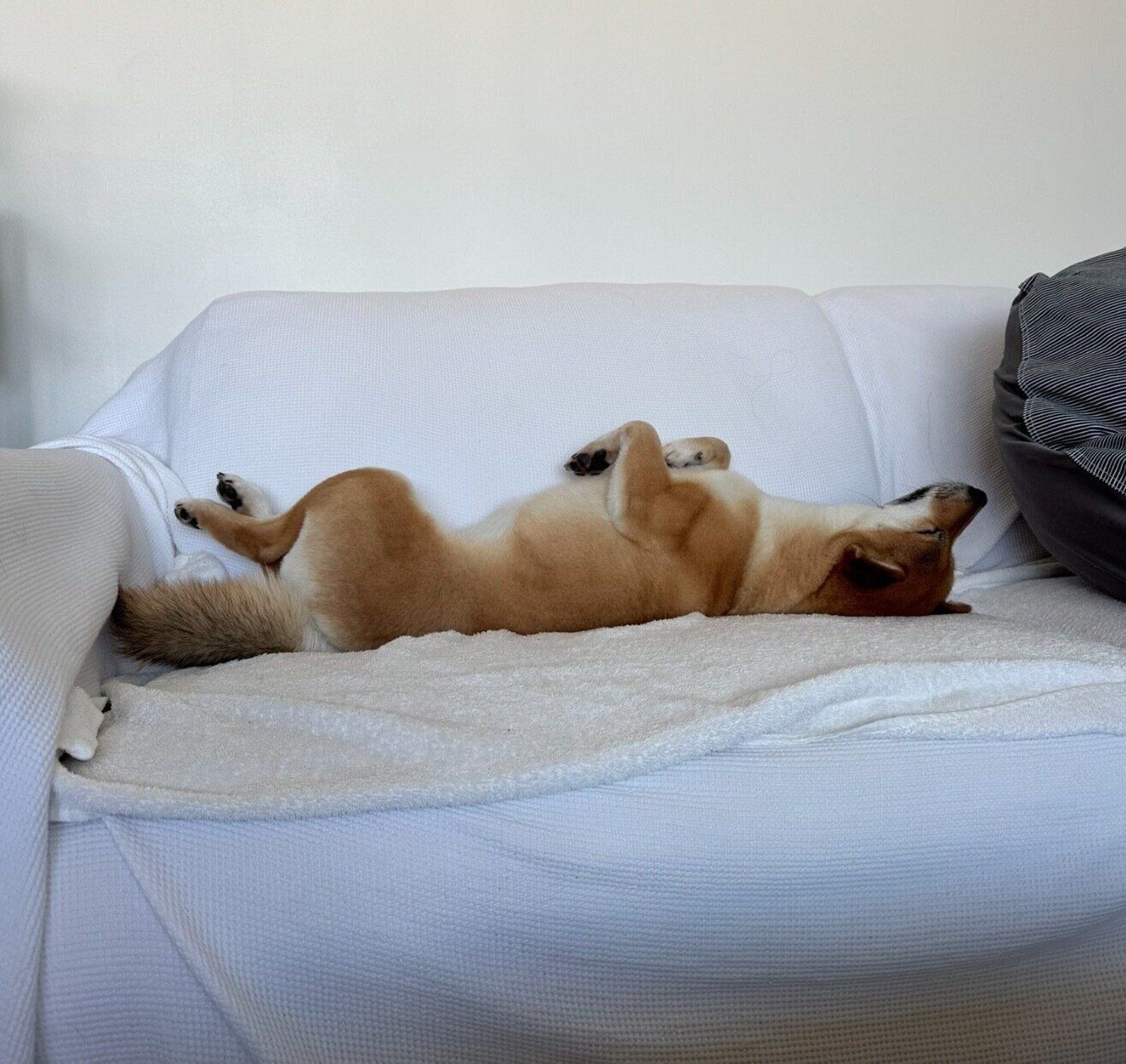 くつろぐうにちゃん