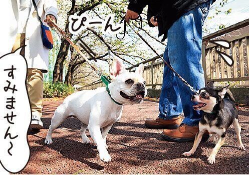 事故の危険性あり