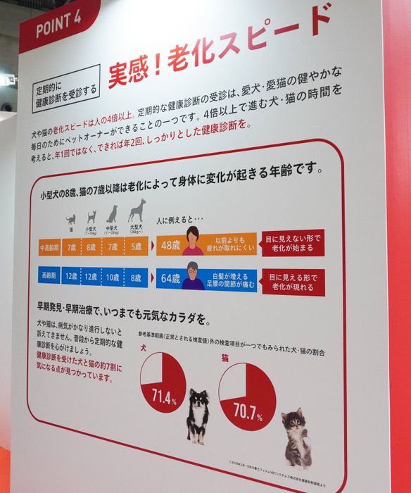 犬と猫の老化のスピードについて