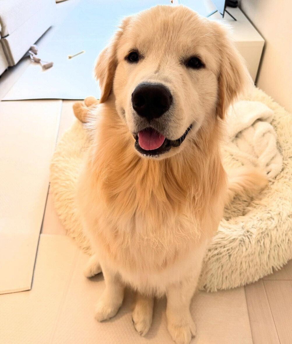 生後10カ月のころに撮影したぴのくん