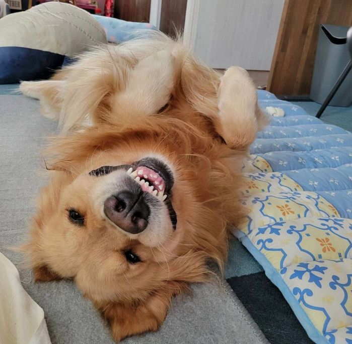 添い寝するルークくん