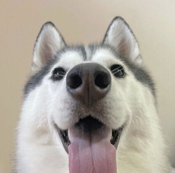 笑顔のリブちゃん