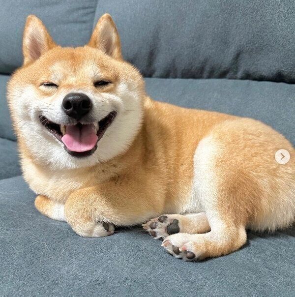 笑顔が可愛いうにくん