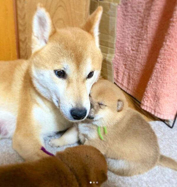 rinちゃんと緑くん