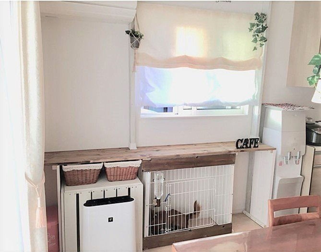犬と暮らす家のインテリア 収納テク Roomclip 担当者に聞いてみた その2 いぬのきもちweb Magazine 犬と暮らす家のインテリア 収納テク Roomclip 担当者に聞いてみた その2 いぬのきもちweb Magazine