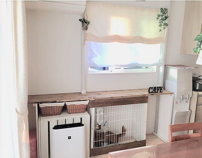 犬と暮らす家