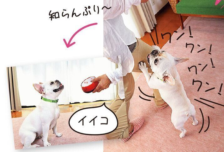 撮影／尾﨑たまき