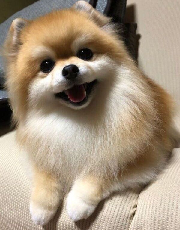 カメラ目線で微笑むいぶきちゃん